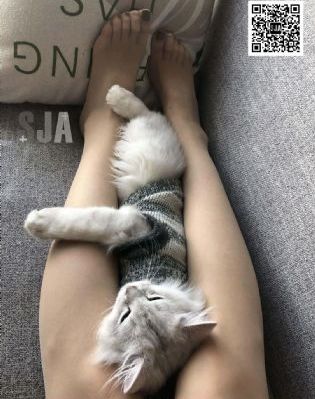 好男人在线观看片神马电影_国产剧全集免费播放
